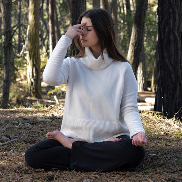 Yin and Restorative Yoga with Sound Bath